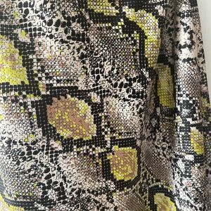 Snake Print Satin Skirt